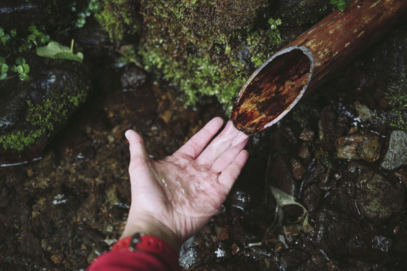 水を掬ってる人の手