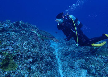 ダイビング中の写真