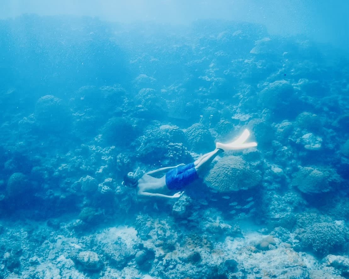 海に泳いでる人の写真