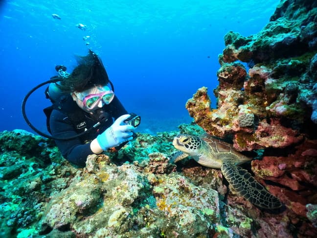 ダイビング中の写真